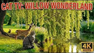 Cat TV for Cats to Watch 🦌 Baby Deer & Birds under Willow Tree - 8 Hours
