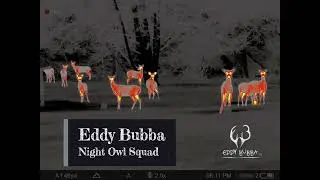 Team Eddy Bubba: Night Owl Squad on the hunt in December