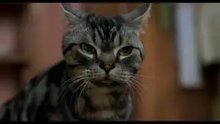 Stuart Little funny scene in Hindi - 4