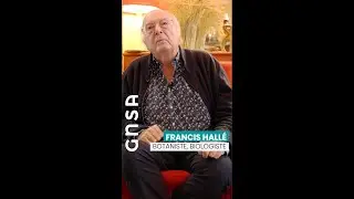 LA PLANTATION DES ARBRES PAR FRANCIS HALLÉ