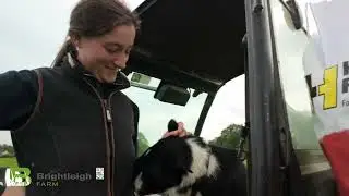 Brightleigh Farm Tour