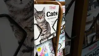 Cat on Cover of Time Magazine June 2025