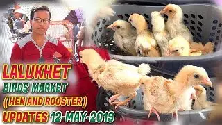 Lalukhet Sunday Hen and Rooster Market 12-5-19 Fancy hen  Jamshed Asmi Informative Channel