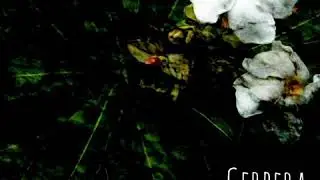 Destructive Behavior - Cerbera Odollam