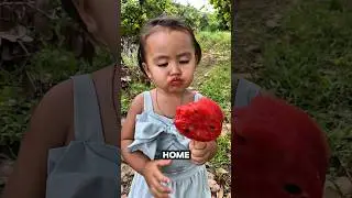 Water melon Randy candy, follow for more! #viral #documentaries #lifehacks #echotales #shorts