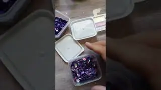 Sequin Organization