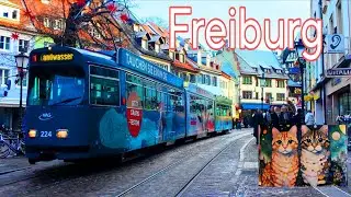 Freiburg im Breisgau, Germany ｜Schöne Stadt am Schwarzwald｜4K Walking Tour