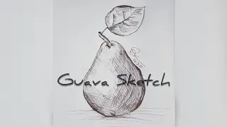 Guava Sketch Painting🤘🤘