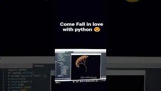 Python is LOB❤️ || MrX Coding || Credit @ Insta :- codehub.py