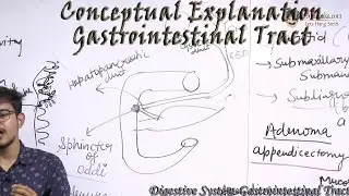 AIIMS | AIPMT - Digestive System - Gastrointestinal Tract