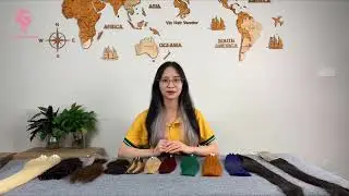 Vietnamese Hair Extensions - Raw Vietnamese Hair Wholesale Vendors
