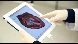 Our Human Biology course