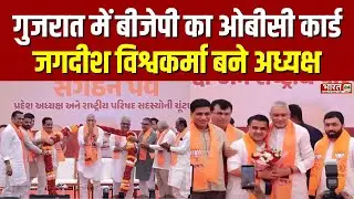 BJP Announce Gujarat State President: गुजरात BJP अध्यक्ष बने जगदीश विश्वकर्मा | CM Bhupendra Patel