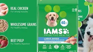 Iams Proactive Health Adult Dog Food with Chicken - Premium Nutrition for Dogs