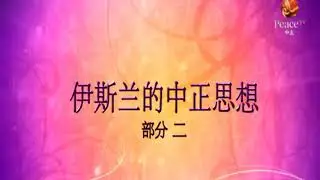 平衡的伊斯兰思想, 部分 十一 Balanced Islamic Thought, Part 11