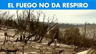 Chubut en llamas: el fuego ya arrasó más de 45 mil hectáreas