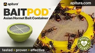Bait Pod&trade; Smart Insect Bait Container &ndash; The Lure Solution Asian Hornets Can&rsquo;t Resist!