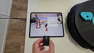 GoBalance App Overview - iOS