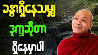 ပါချုပ်ဆရာတော် တရားတော်များ ခန္ဓာရှိနေသမျှ ဒုက္ခဆိုတာ ရှိနေမှာပါ တရားတော်