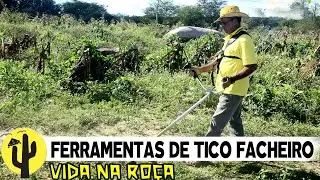 [VIDA NA RO&Ccedil;A] Tico Facheiro nos mostra um Motel para Ratos, Suas Ferramentas de Trabalho no Campo 🌵