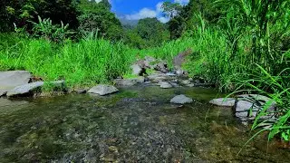 Relaxing River Sounds for Deep Relaxation | Natural Water Ambience