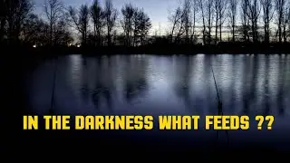 DAY TICKET CARP FISHING in the DARK