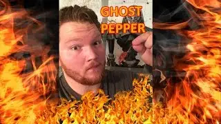 THE GHOST PEPPER CHALLENGE! RUSSIAN ROULETTE!!!