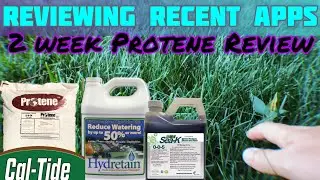 Обсуждение Protene (14-дневный обзор) // Плюс Hydretain, SeaK и Cal-Tide