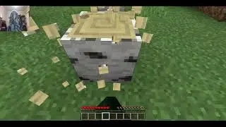 is it possible to beat Minecraft blindfolded the answer might not surprise you