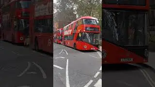 London's iconic Red double decker bus # what a view 🇬🇧