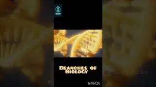 🌿 &ldquo;Botany, Zoology, Microbiology&hellip; Which branch excites you most?&rdquo; 🐾🦠 #BiologyBranches #scifi