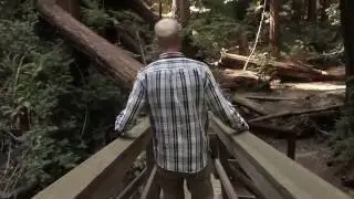 San Francisco  Demo Reel  Bryan Petrass 2016