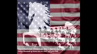 SBR Valentine (m) 1-15-26