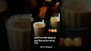 ☕ Tea lover ☕ Tea statue/ tea video/ whatsapp status video