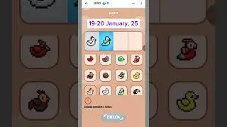 Birdton daily combo | 19 January | Bird ton daily combo cards video |