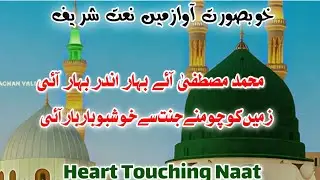 Muhammad Mustafa Ay Bahar Andr Bahar ai Naat | New Beautiful Naat 2026 | Soldier Of Islam 