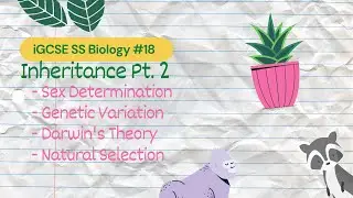 Inheritance (Part 2) | iGCSE SS Bio #18