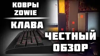 Zowie Celeritas II | Ковры PTF-X, G-SR, P-SR | Обзор от стримера
