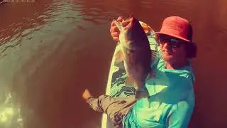 Az summer heat you can still catch fish 