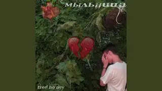 мыльница