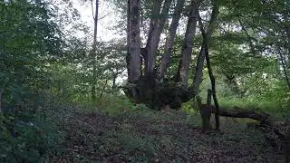 Chez Solange &agrave; Lasseube 4