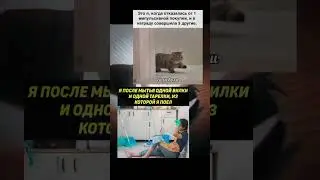 Просто мемы часть 277 #мем #жиза #аниме #chainsawman #kobeni