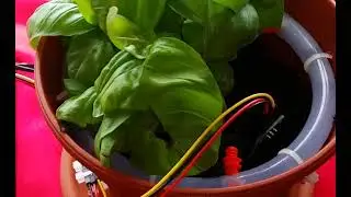 Gestione Irrigazione Terreno - Arduino e sensore di umidit&agrave;