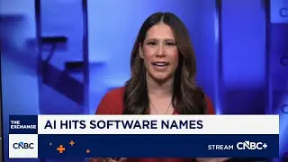 Software stocks show vulnerability to AI