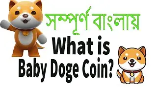 What is Babby dogge Coin?  Baaby Dogge Coin Explain in bangla | BitBD