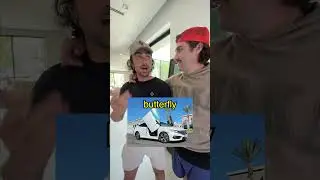 Я превратил машину друга в самый большой в мире Чиа-питомец.