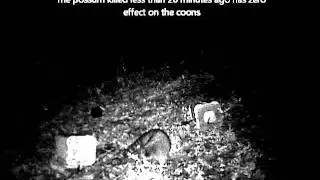 Bucket Sets for Coon