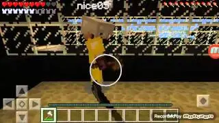 MinecraftSG