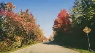 Fall Colors Drive