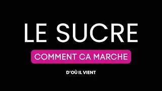 Le sucre : c&rsquo;est quoi, d&rsquo;o&ugrave; il vient et &agrave; quoi il sert vraiment ?